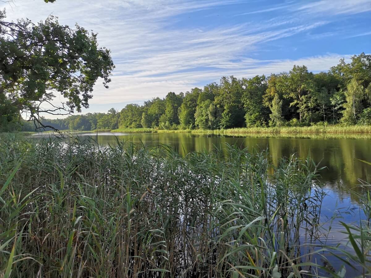 Jezioro Dziewicze w Kotowicach